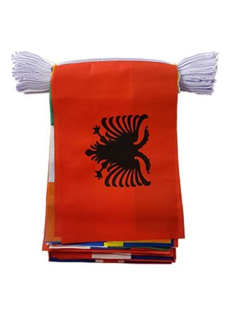 Euros 2024 - European Nation Cloth Bunting 24 Flags -  15cm x 22cm - 8m 