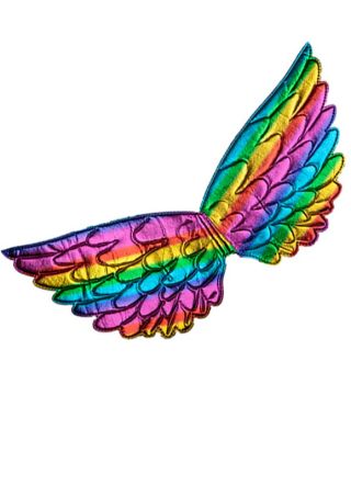 Rainbow Wings - Metallic 21cm x 42cm   