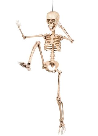 Aged Jointed Plastic Skeleton - 50cm