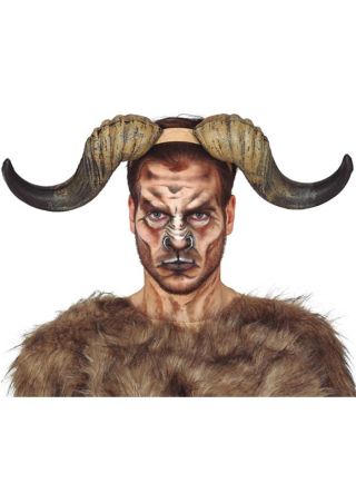 Bull / Buffalo Horns 23cm