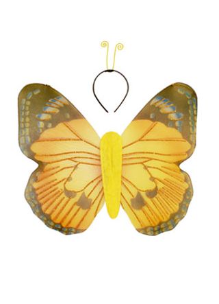 Butterfly Wings & Antennae Set 45x47cm