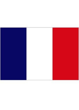 French (France) Flag 5ftx3ft