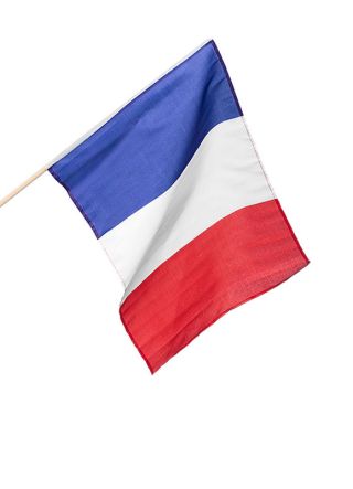 France Hand Flag 18" x 12"
