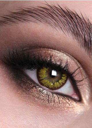 Golden Vampire Contact Lenses - One Day Wear