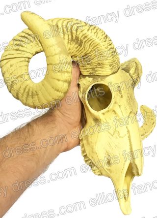 Ram Skull Prop 29cm x 39cm