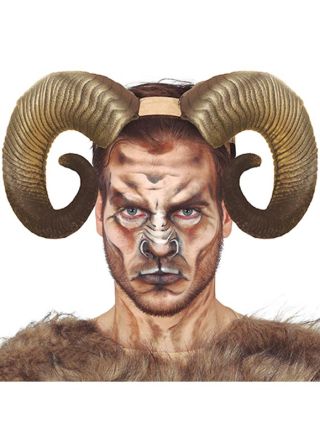 Large Ram Horns – Natural 20cm