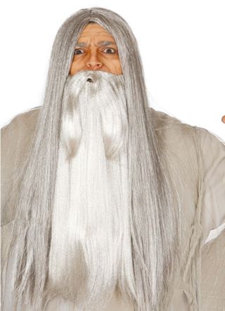 Long Grey Prof Wizard Wig 