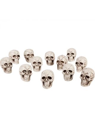 Pack of Small Skull Heads – 12pk