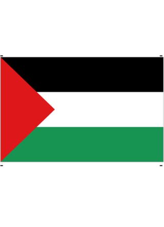 Palestine Flag 5ftx3ft