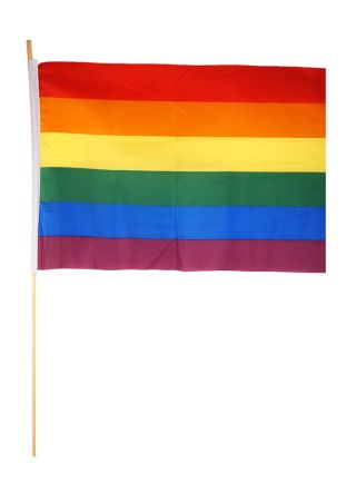 Pride Rainbow Hand Flag (Nylon 17"x12") 