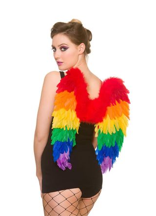 Rainbow Wings - Medium 50cm x 50cm