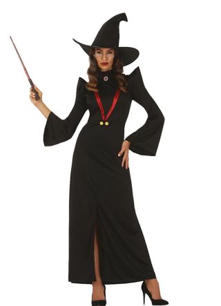 Professor at School of Wizardry Ladies Costume