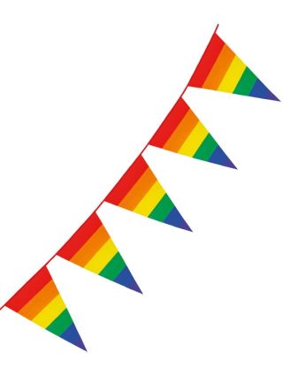 Large Rainbow Pride Triangular Plastic Bunting 8m