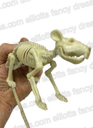 Skeleton Rat 38cm
