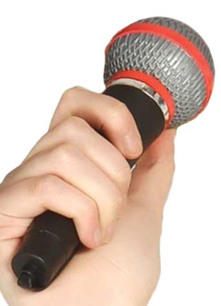 Realistic Microphone - 19cm