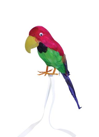 Feathered Parrot For Shoulder 38cm