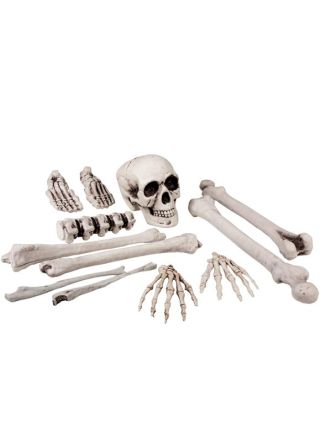 Skull and Bones Kit