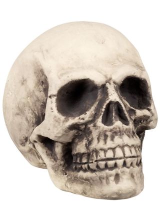 Skull Prop Giant – Human – 27 x 27 x 38cm 