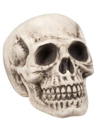 Skull Prop Large – Human – 23 x 22 x 31cm