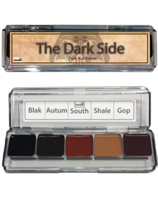 The Ultimate Dark Side Palette (Alcohol Activated)