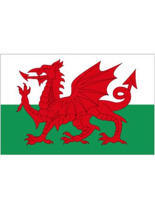 Wales Flag 5ftx3ft