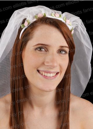 Hen Night Bride to Be Veil - Pink Roses